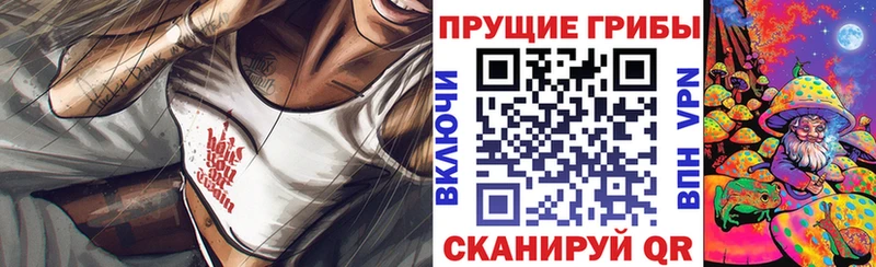 хочу наркоту  Салаир  Галлюциногенные грибы мицелий 