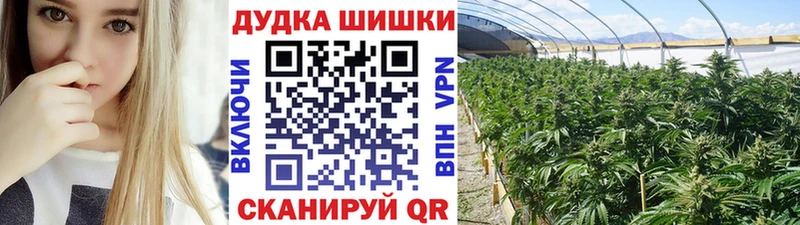 площадка как зайти  Салаир  Бошки марихуана ГИДРОПОН 